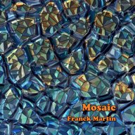 Mosaic — Franck Martin
